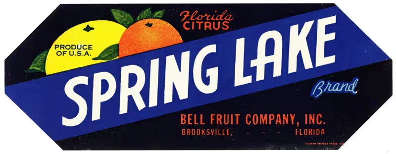 Этикетка цитрусовых Spring Lake Brand Florida — Аноним