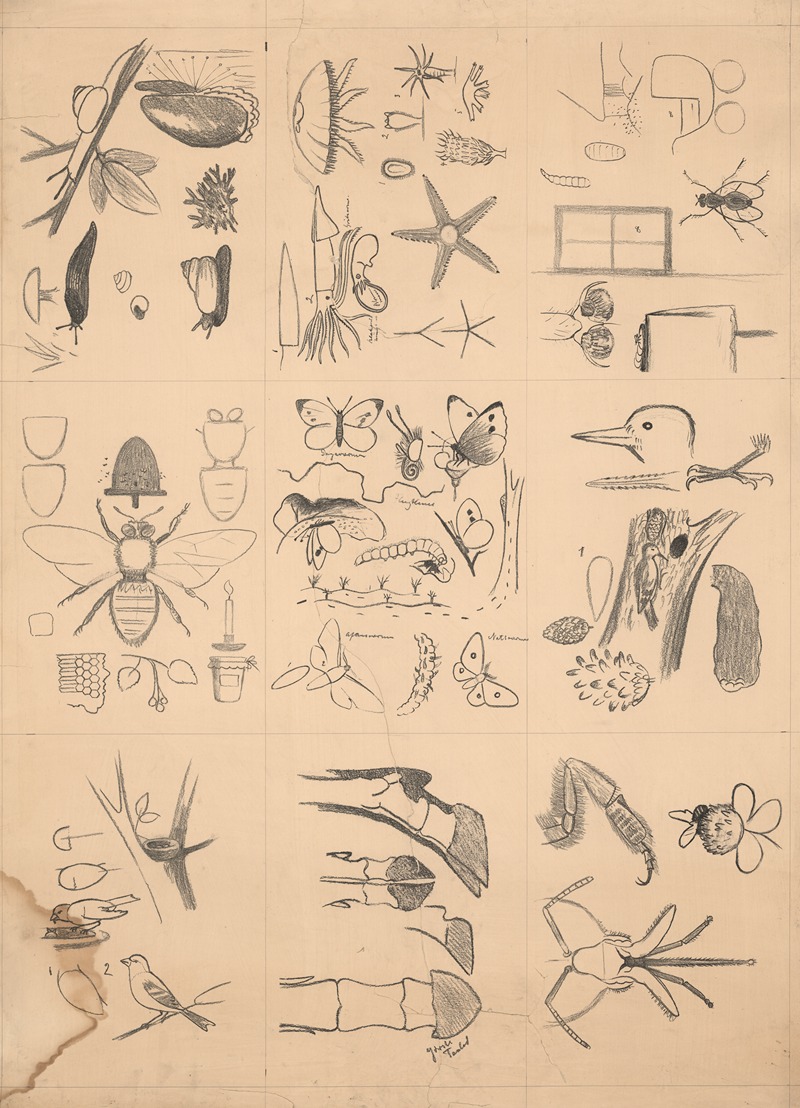 Animal drawings by Paul Flanderky — digital art print download