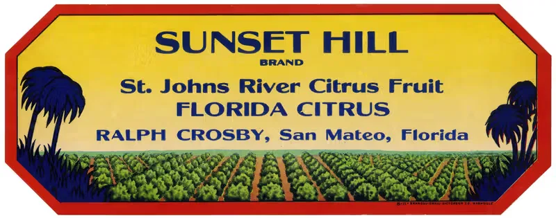 Sunset Hill Brand Florida Citrus Label — Anonymous