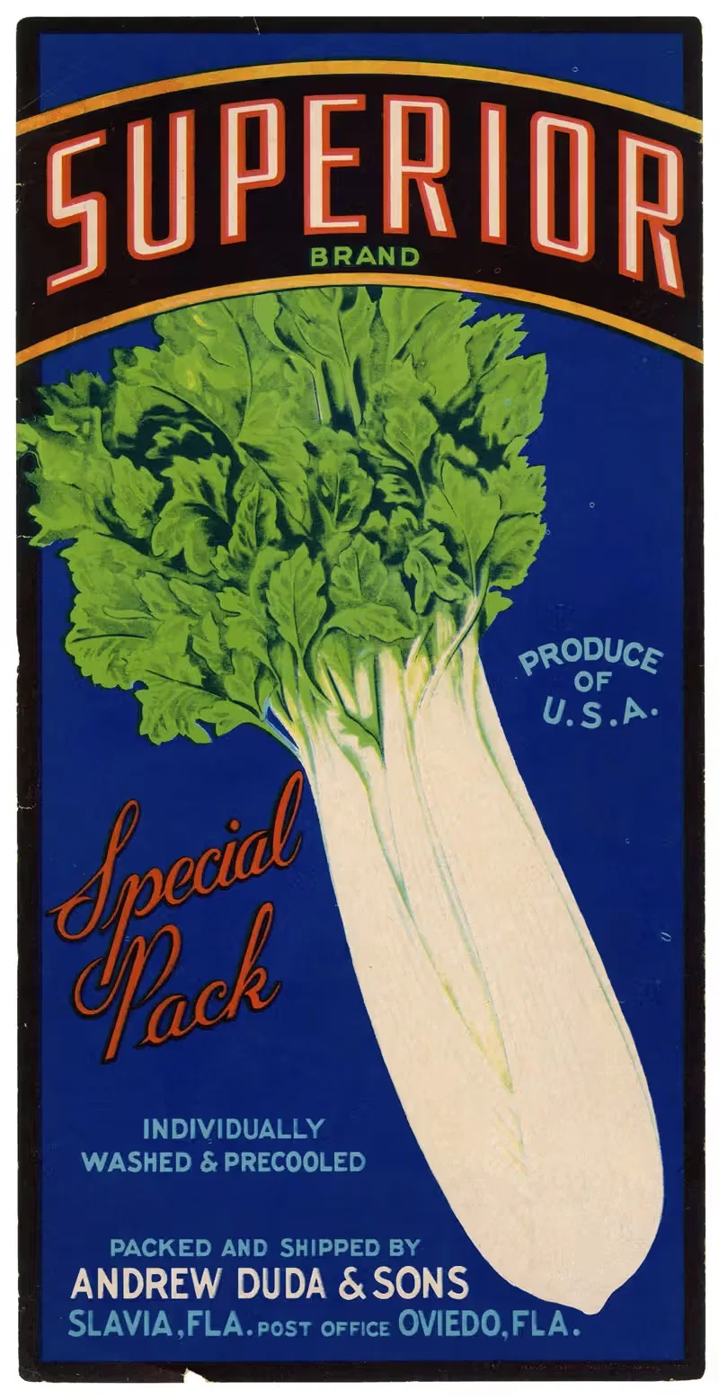 Superior Brand Celery Label by Anonymous, 1930-1950 — digital art print download
