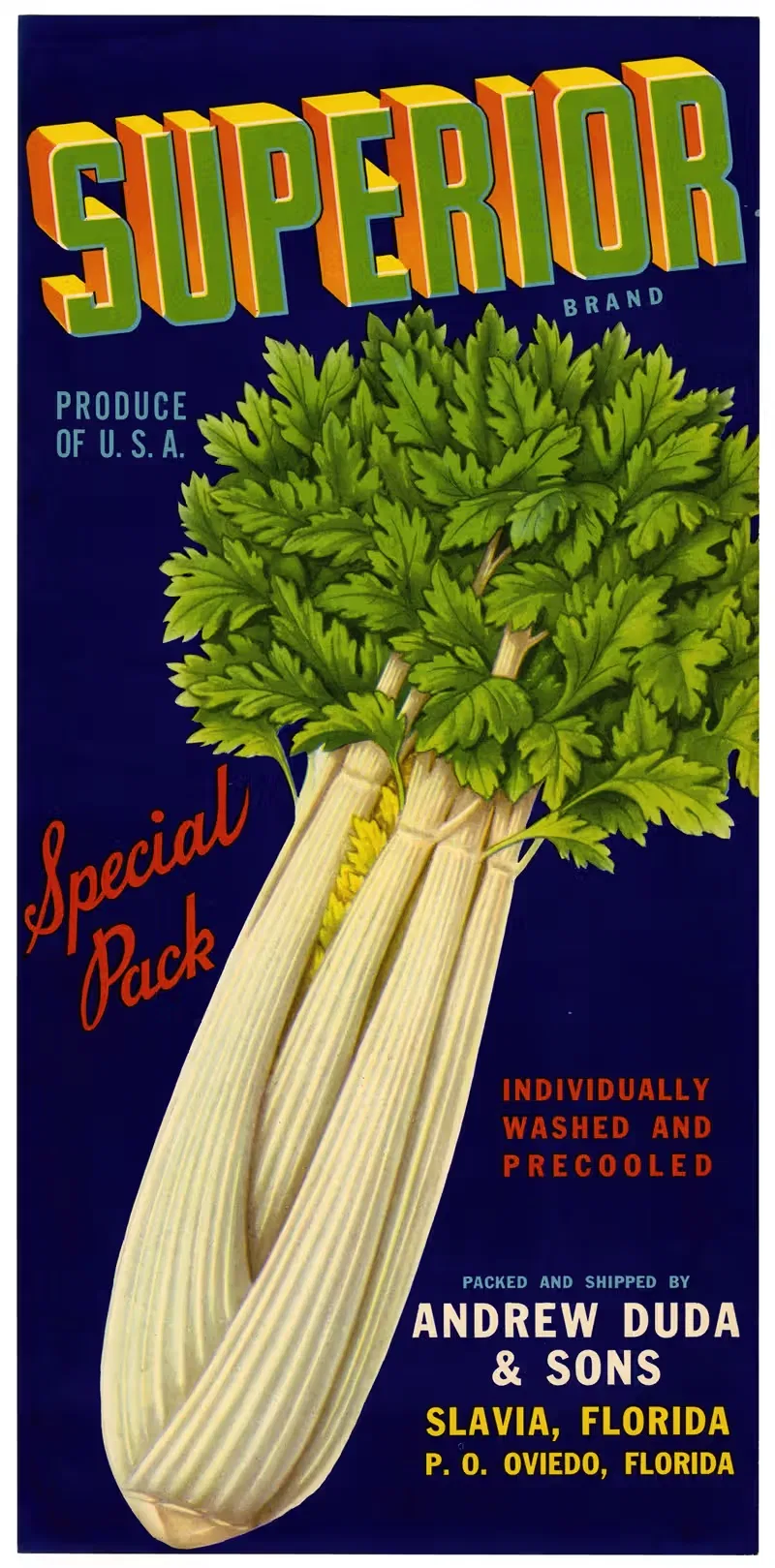Superior Brand Celery Label by Anonymous, 1930-1950 — digital art print download