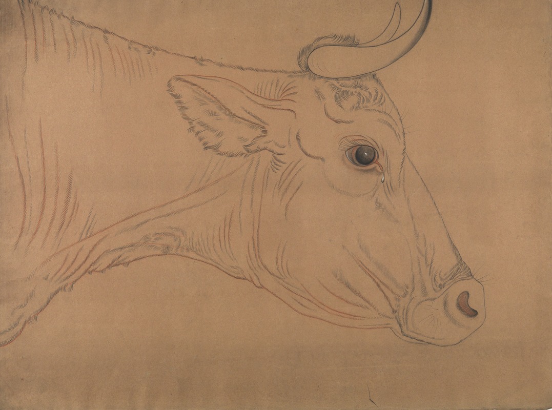 Bull's head by Paul Voituron — digital art print download
