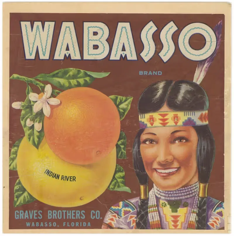 Этикетка цитрусовых Wabasso Brand by Аноним, 1930-1950 — digital art print download