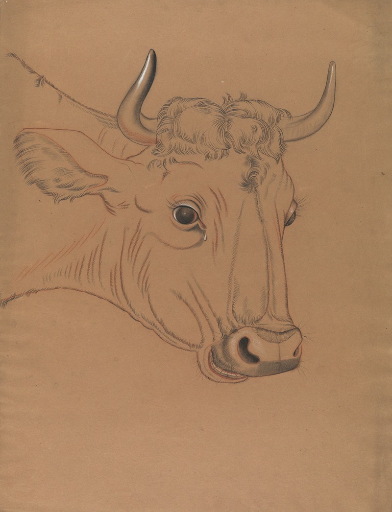 Bull's head by Поль Вуитюрон — digital art print download