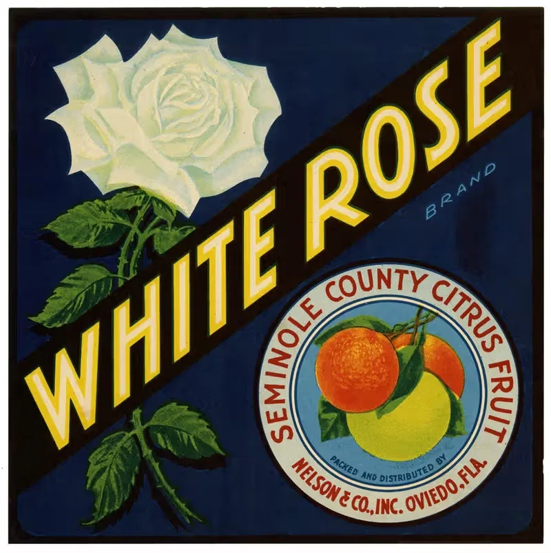 Этикетка цитрусовых White Rose Brand — Аноним