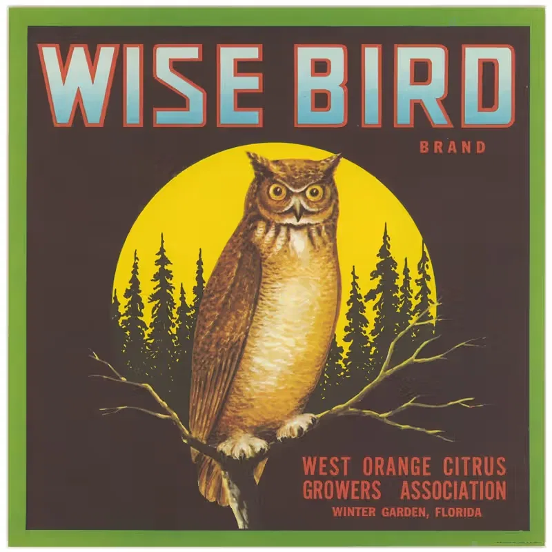 Этикетка цитрусовых Wise Bird Brand by Аноним — digital art print download