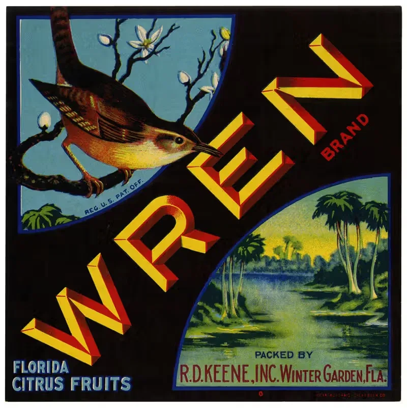 Wren Brand Florida Citrus Fruit Label — Anonymous
