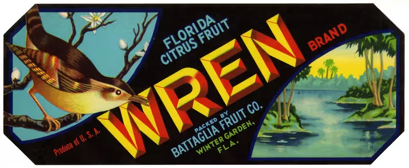 Wren Brand Florida Citrus Fruit Label — Anonymous