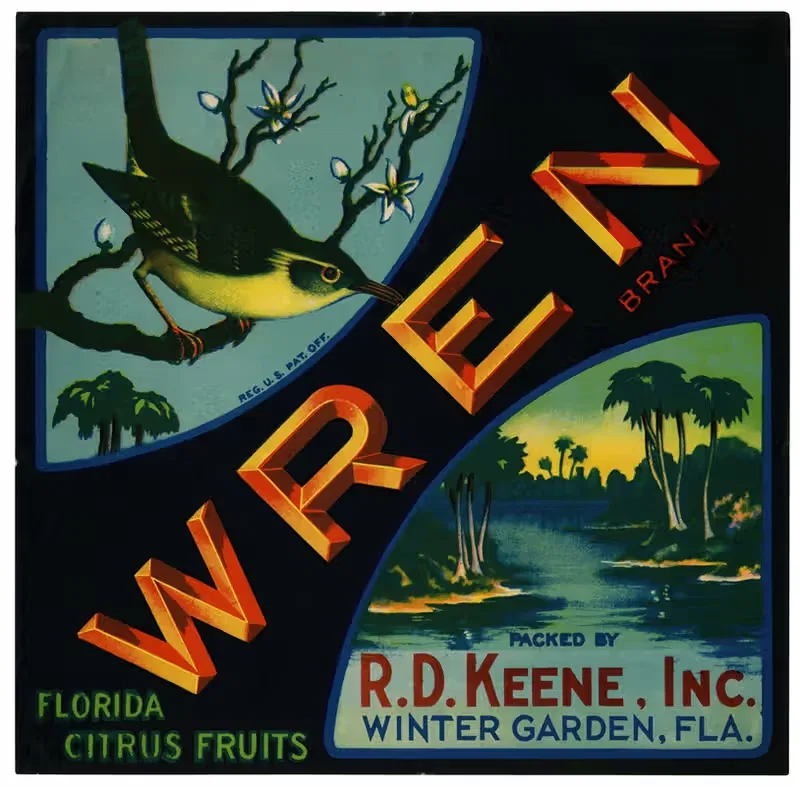 Wren Brand Florida Citrus Fruit Label — Anonymous