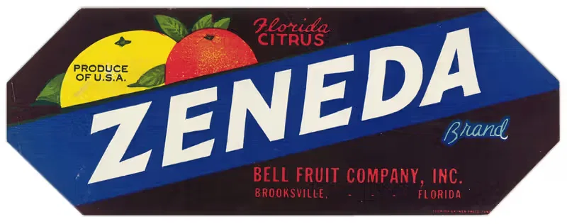 Zeneda Brand Florida Citrus Label — Anonymous