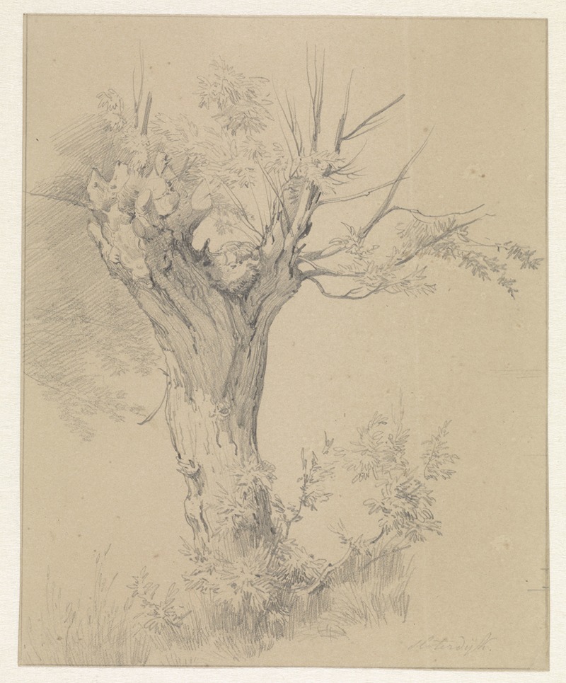 Knotwilg te Sloterdijk by Пьер Луи Дюбурк, 1825-1873 — digital art print download