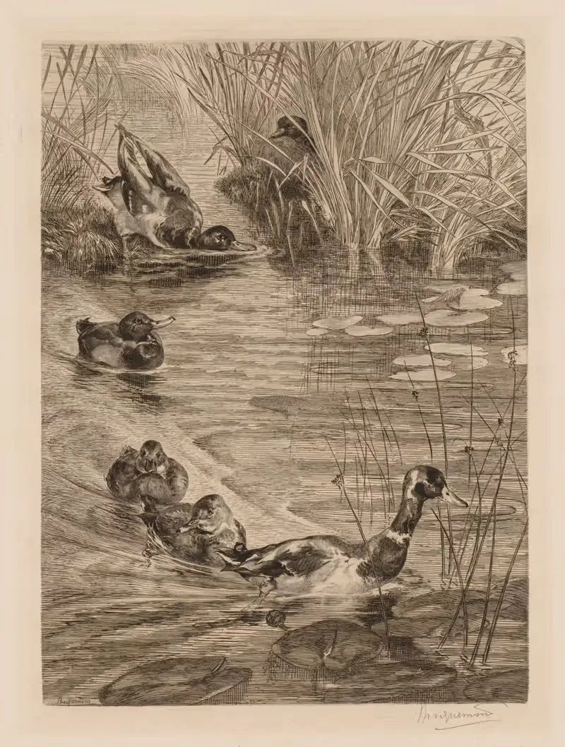 Утки в игре by Феликс Браккемонд, c. 1870 — digital art print download
