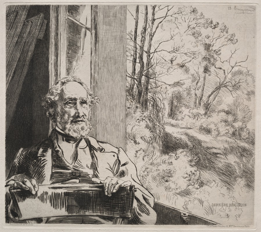 Meyer-Heine by Félix Bracquemond, c. 1872 — digital art print download