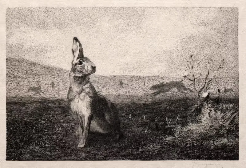 Заяц (по А. де Баллерою) by Феликс Браккемонд, 1865 — digital art print download