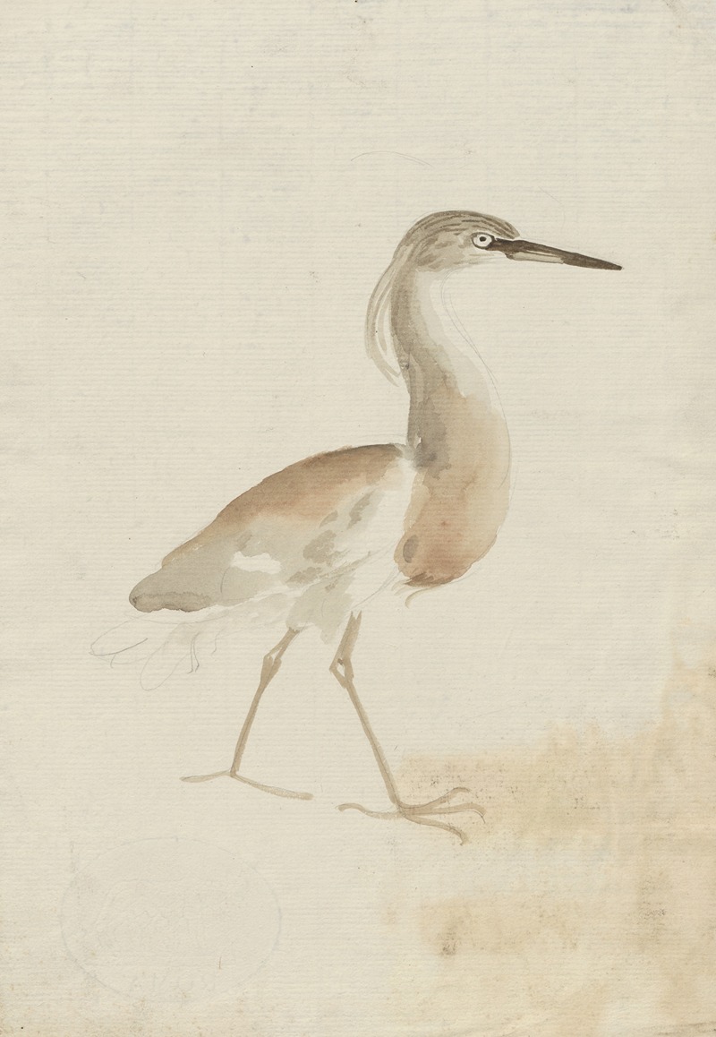 Bird by Valdemar Andersen, 1895-1928 — digital art print download