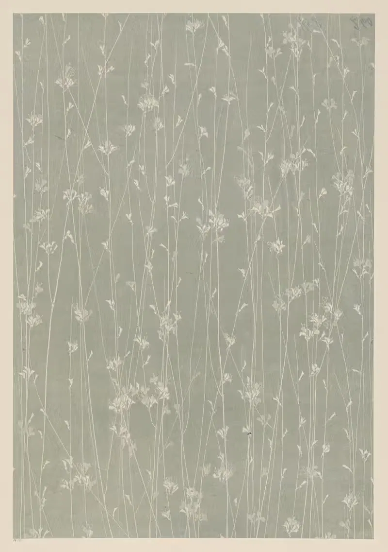 Литографированная бумага (травы) by Лаура Ланге, 1903 - 1907 — digital art print download