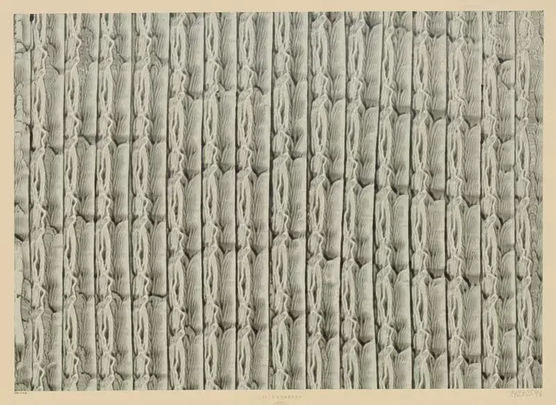 Kleisterpapier (Streifen) — Lilli Behrens