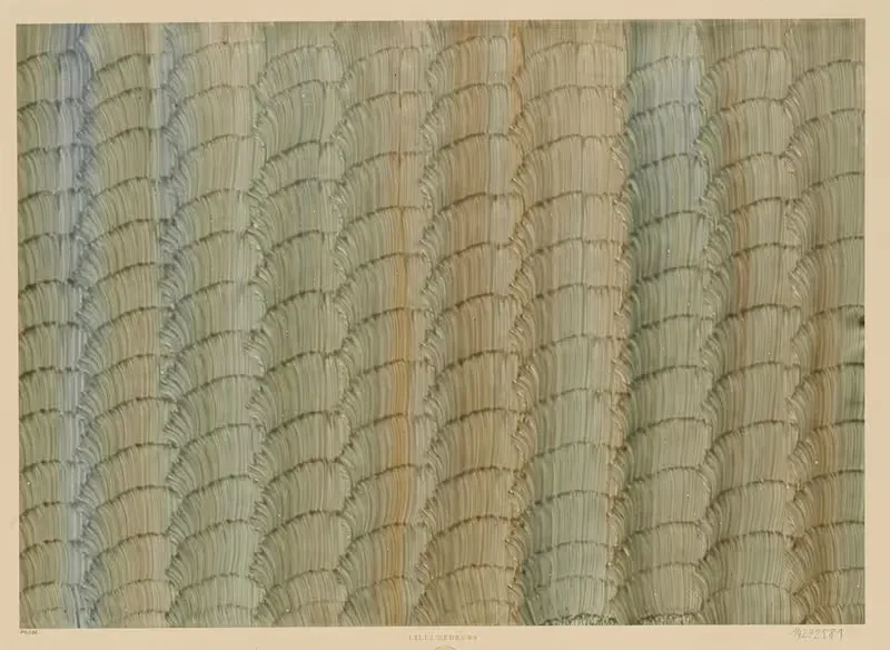 Клейстерная бумага с декором кистью by Лилли Бехренс, 1900 — digital art print download