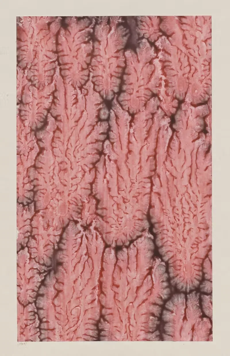 Клейстерная бумага by Людериц и Бауэр, 1888 - 1909 — digital art print download