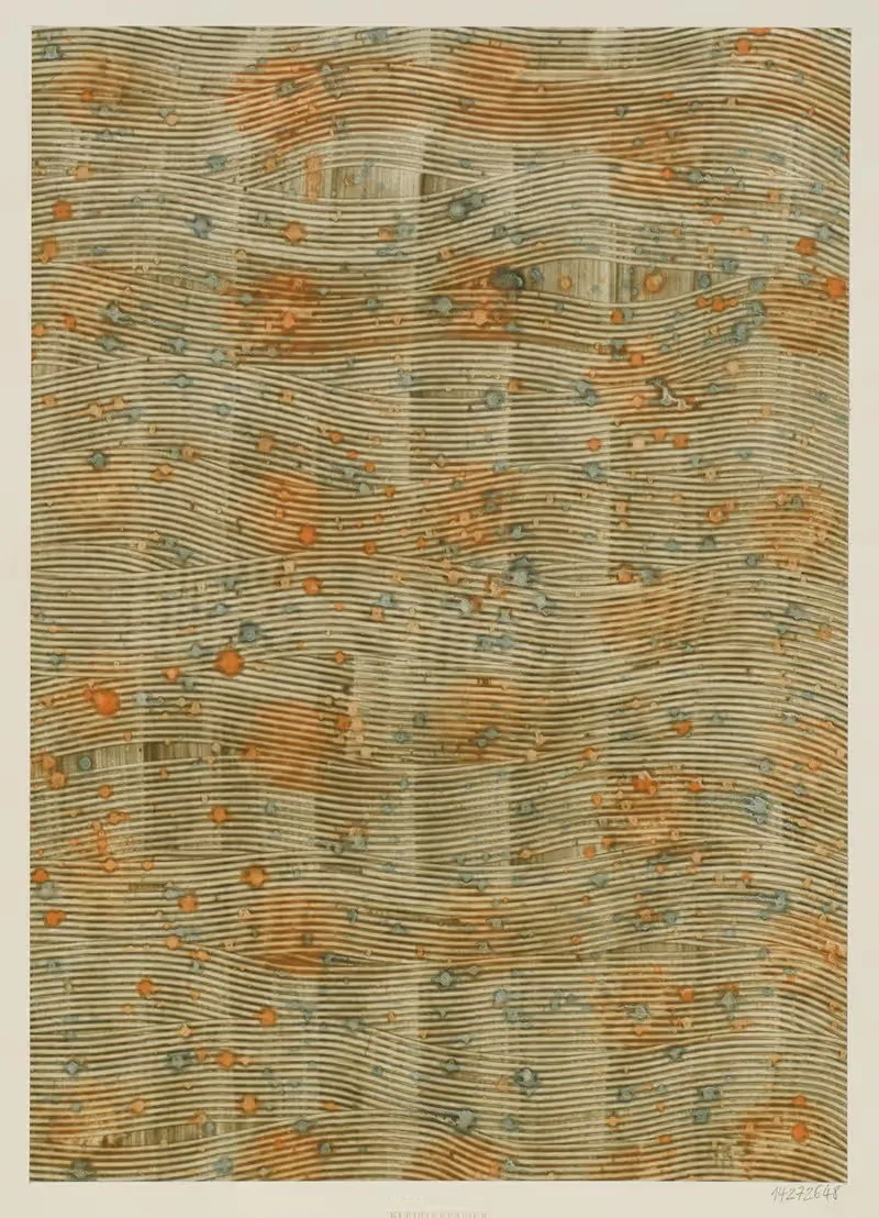 Kleisterpapier — Max Schneeberger