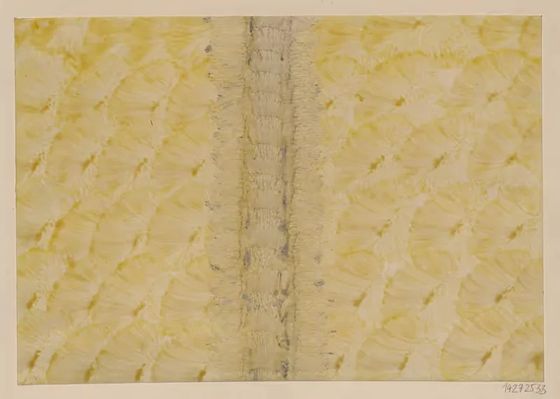 Kleisterpapier mit Pinseldekor — Paul Kersten