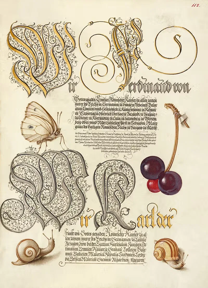 Butterfly, Sweet Cherry, and Land Snails — Joris Hoefnagel