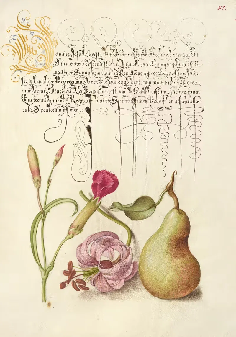 Гвоздика, лилия мартагон и груша by Йорис Хефнагел, 1561–1596 — digital art print download