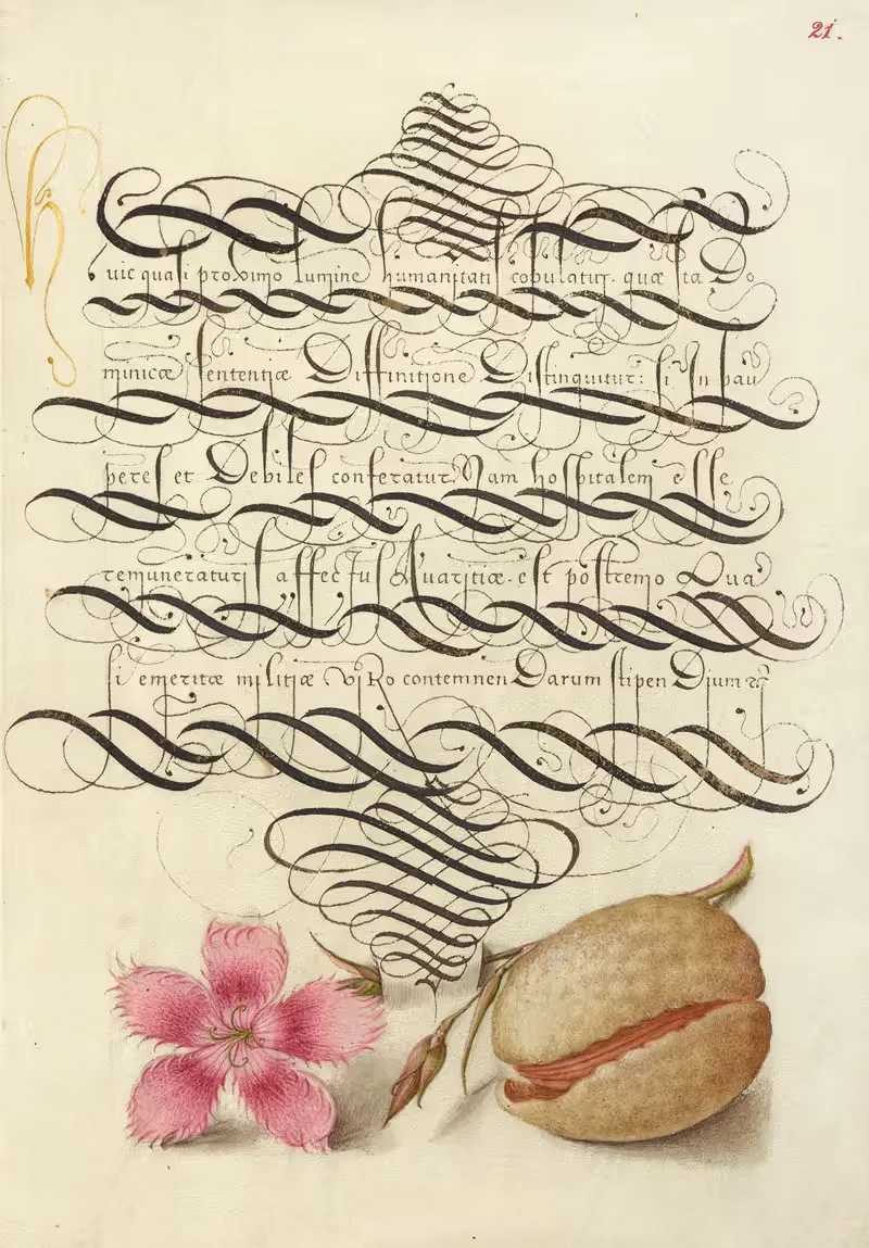 Диантус и миндаль by Йорис Хефнагел, 1561–1596 — digital art print download