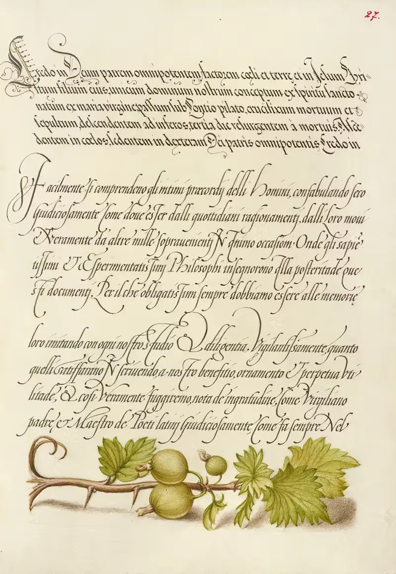 Европейская смородина by Йорис Хефнагел, 1561–1596 — digital art print download