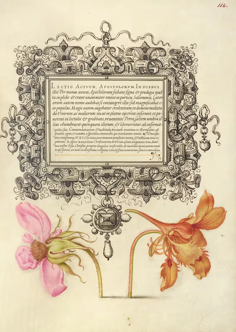 French Rose and Dwarf Nasturtium — Joris Hoefnagel