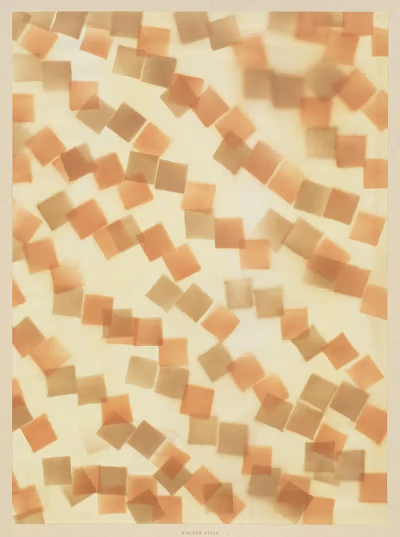 Schabloniertes Papier (Schablonenspritzpapier) — Walter Birke