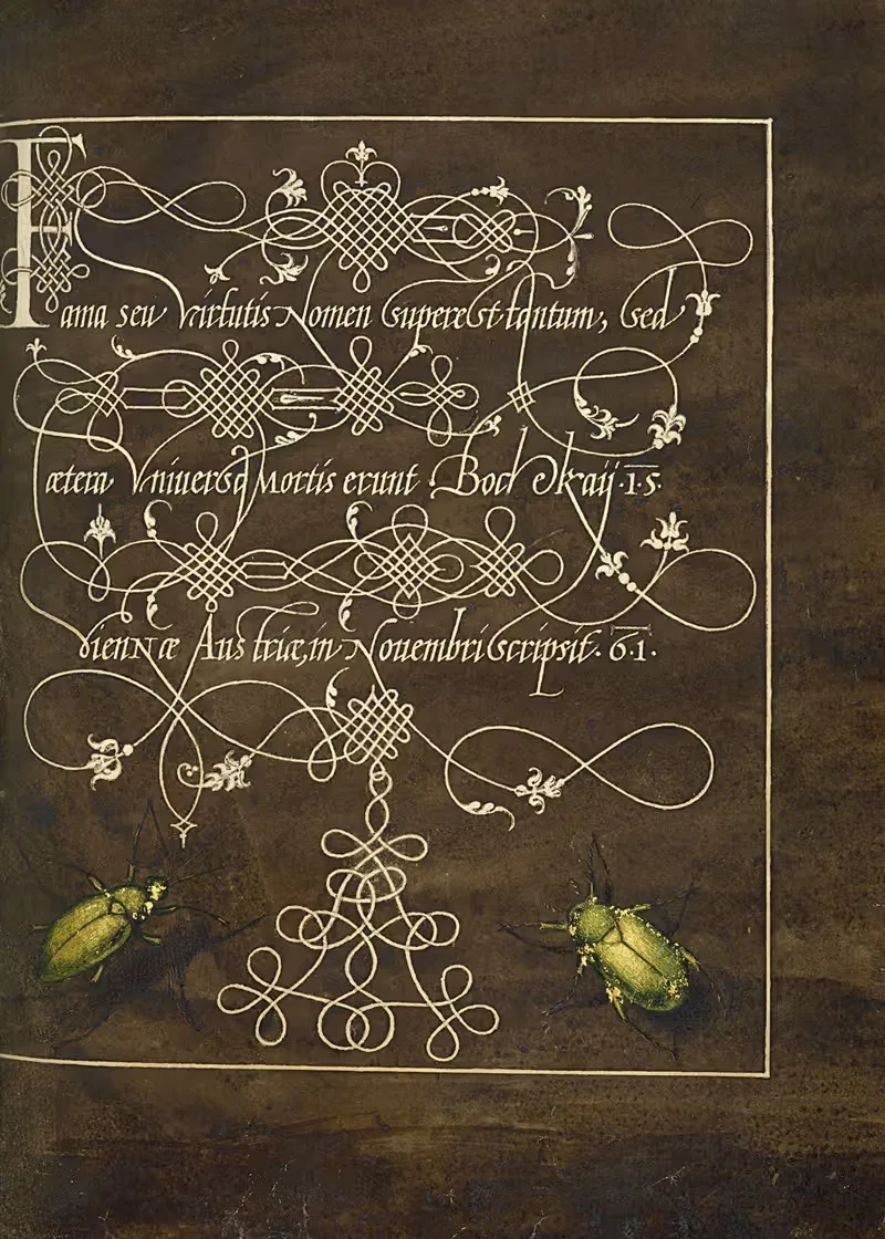 Жук и скарабей by Йорис Хефнагел, 1561–1596 — digital art print download