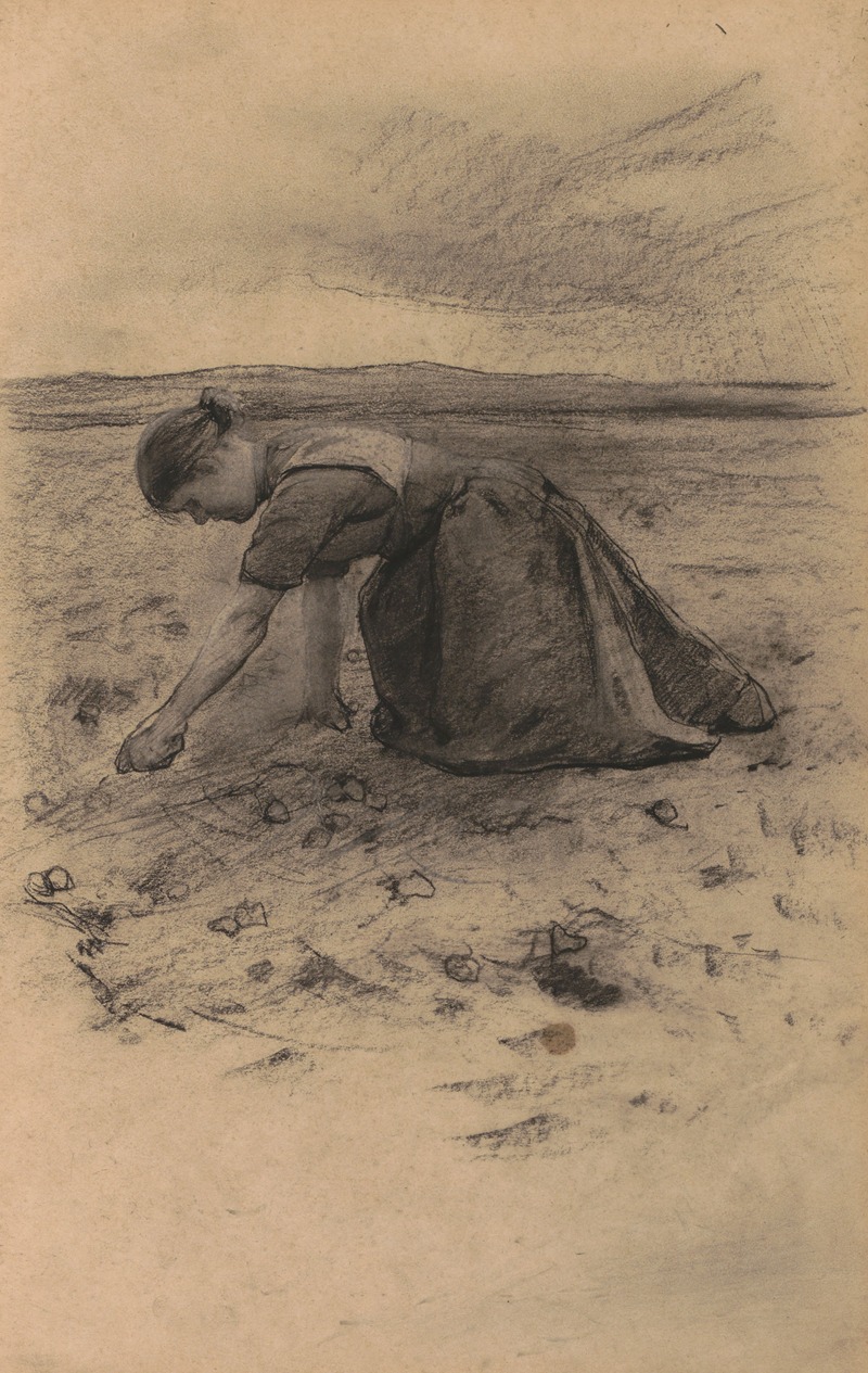 Aardappelrooiende vrouw by Виллем Витсен, 1886 — digital art print download