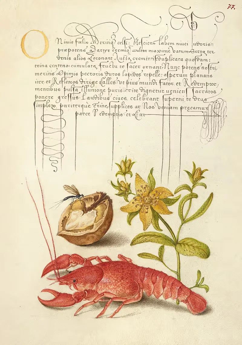 Insect, English Walnut, Saint John's Wort, and Crayfish — Joris Hoefnagel