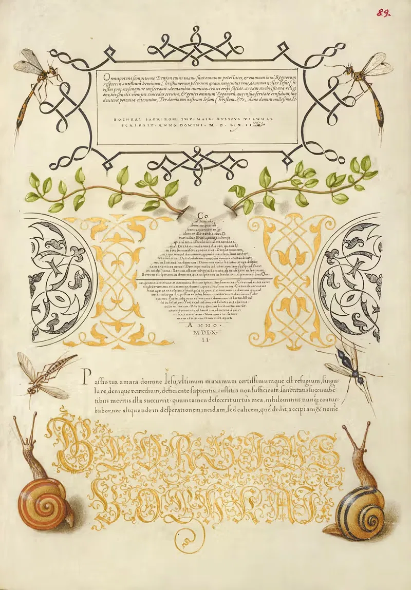 Насекомые, базилик, и наземные улитки by Йорис Хефнагел, 1561–1596 — digital art print download
