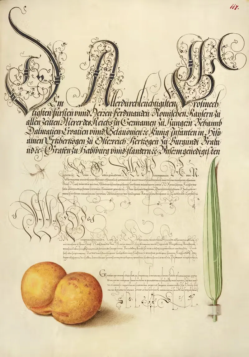 Mayfly, абрикос и тростник by Йорис Хефнагел, 1561–1596 — digital art print download