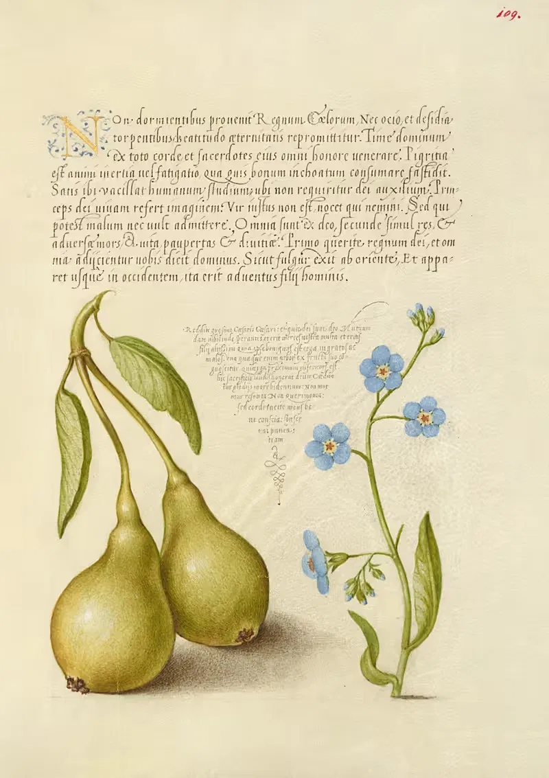 Груша и ползучий незабудка by Йорис Хефнагел, 1561–1596 — digital art print download