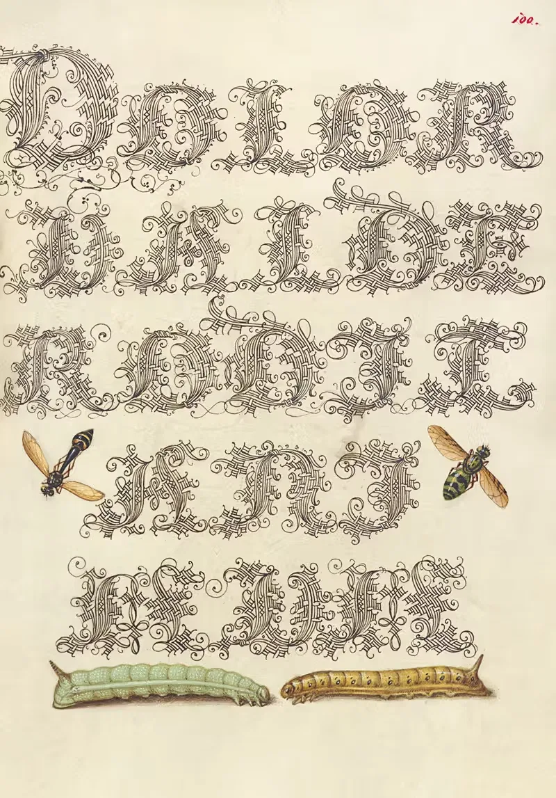 Пчела-горбатка, парящая муха и гусеницы by Йорис Хефнагел, 1561–1596 — digital art print download