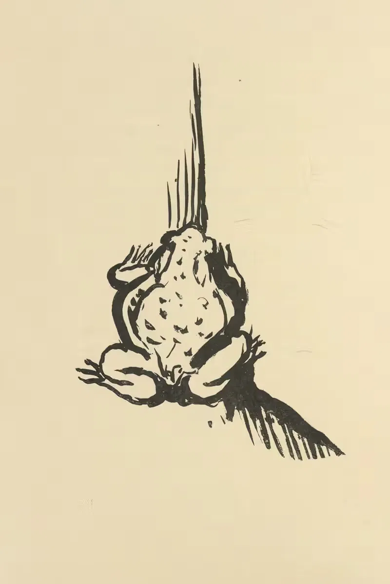 Природные истории Пл.34 by Пьер Боннар, 1922 — digital art print download