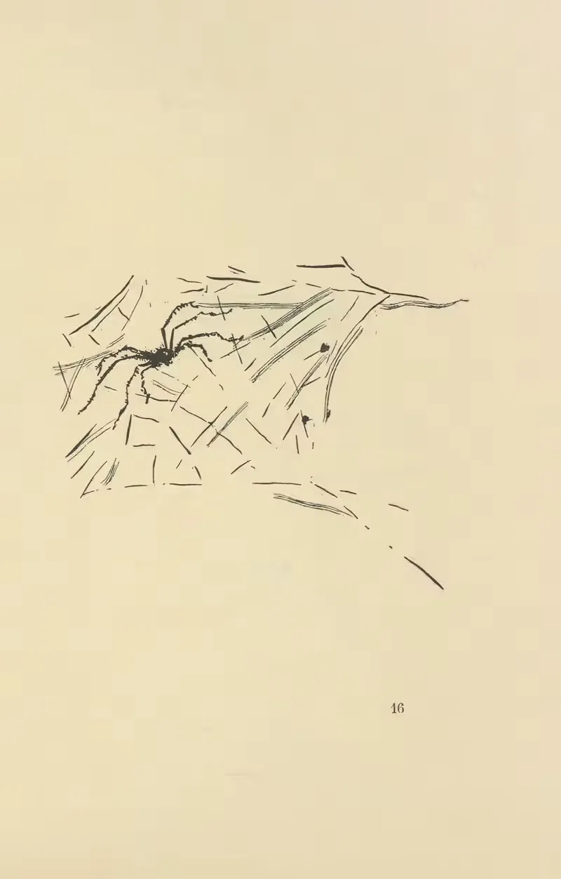 Природные истории пл. 35 by Пьер Боннар, 1922 — digital art print download