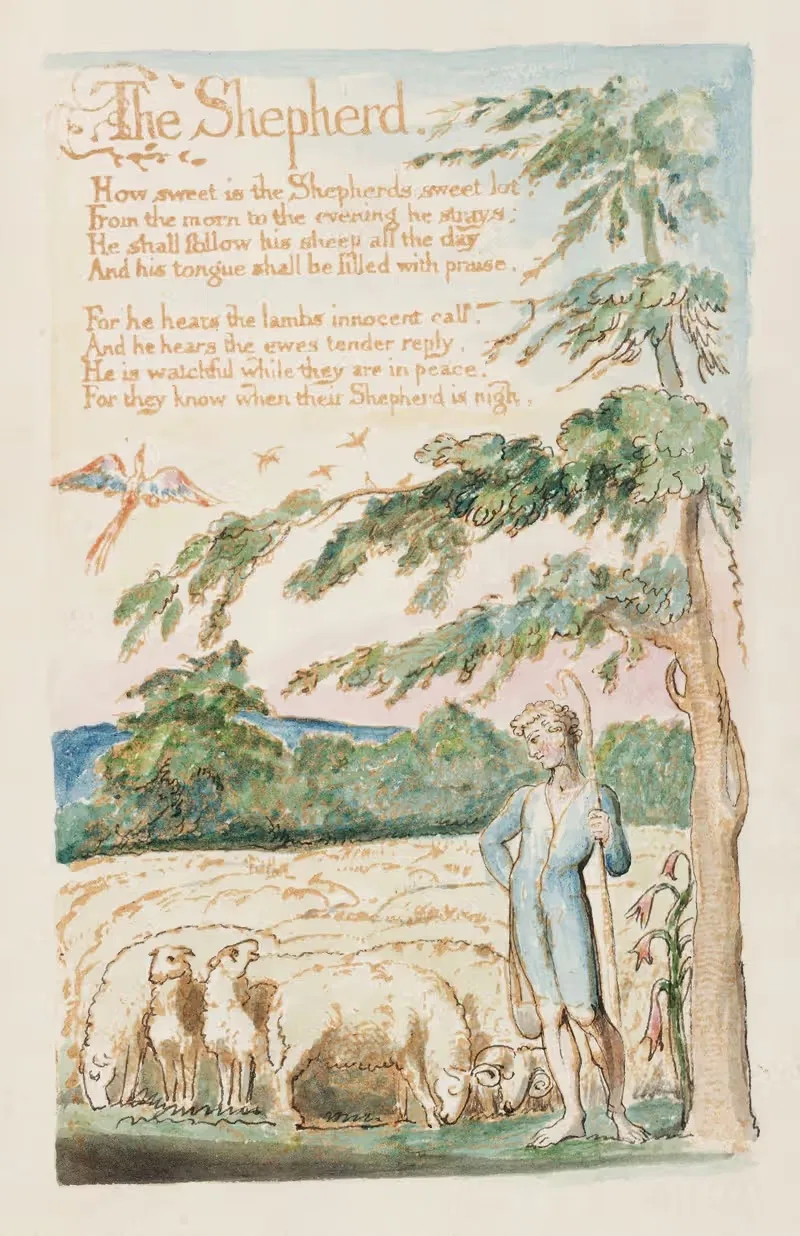 Pl. 21 – The Shephard by William Blake, 1789 — digital art print download