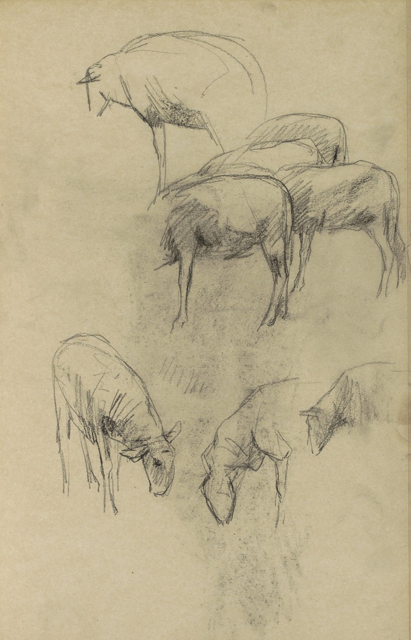 Studieblad met schapen by Willem Witsen, 1884-1887 — digital art print download