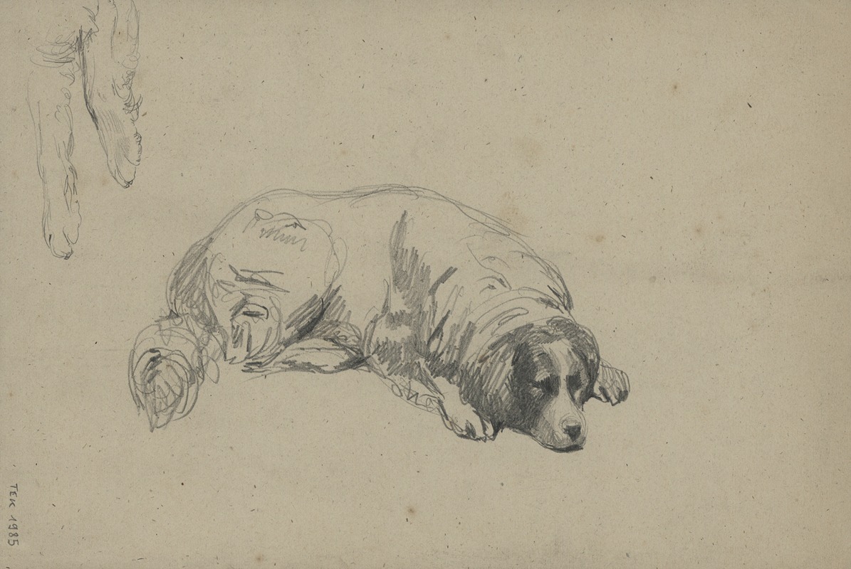 Study of a dog by Ксавье де Кок — digital art print download