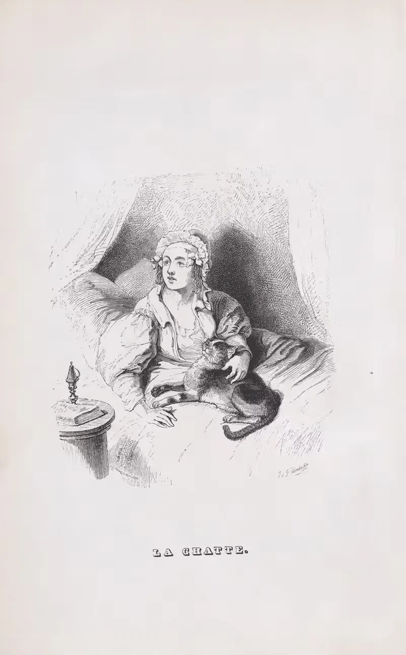 Женская кошка by Ж. Ж. Гранвиль, 1836 — digital art print download