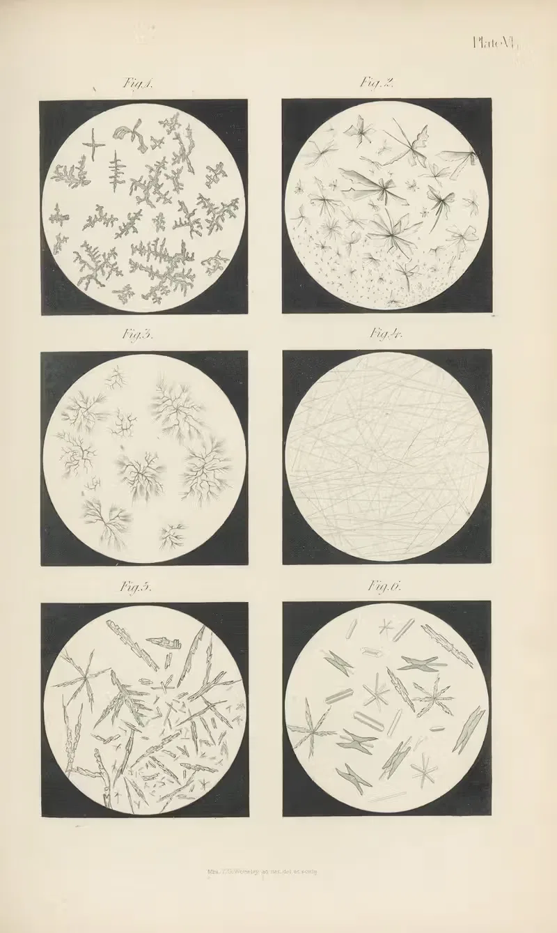 Micro-Chemistry of Poisons Pl.06 — Theodore George Wormley