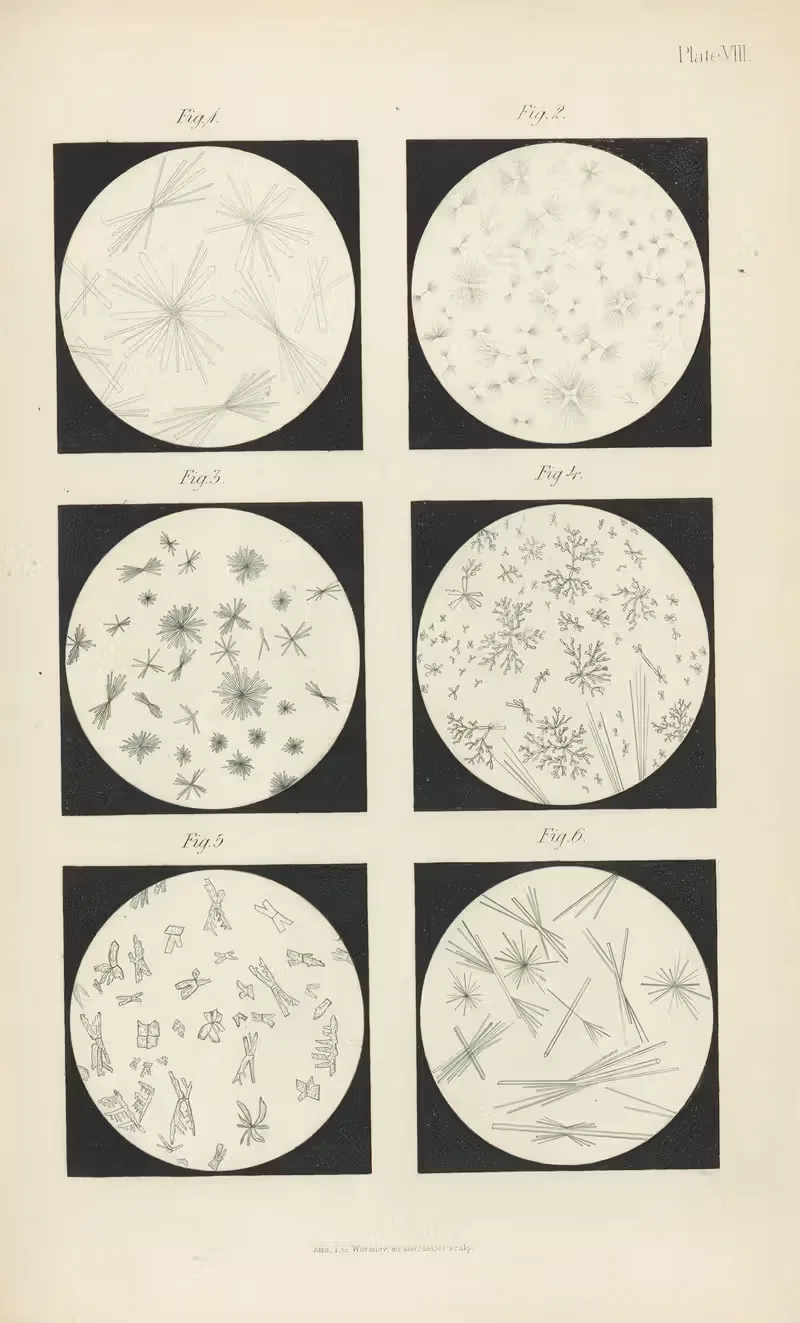 Micro-Chemistry of Poisons Pl.08 — Theodore George Wormley
