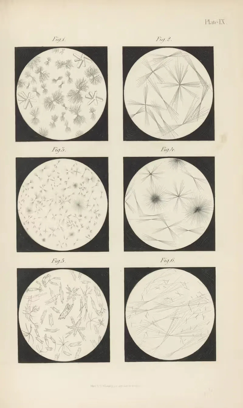 Micro-Chemistry of Poisons Pl.09 — Theodore George Wormley