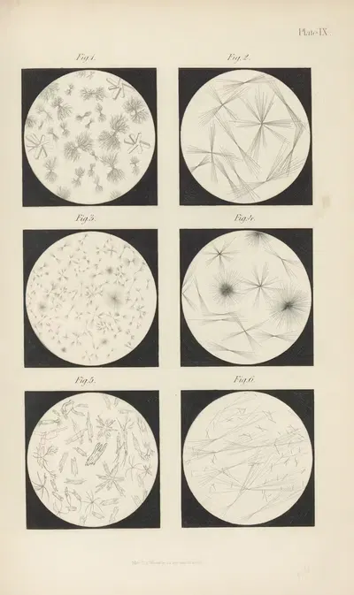 Micro-Chemistry of Poisons Pl.09 by Theodore George Wormley, 1885 — digital art print download