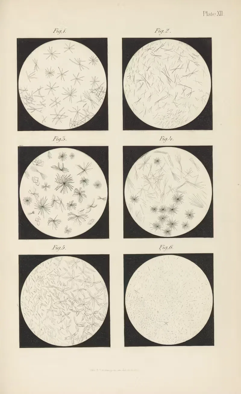 Micro-Chemistry of Poisons Pl.12 — Theodore George Wormley