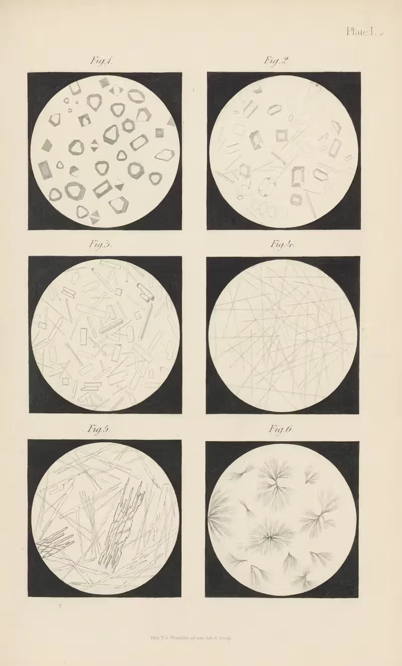 Micro-Chemistry of Poisons Pl.17 — Theodore George Wormley